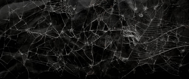 istock Pattern on cracked glass. damage to glass. broken or damaged background on glass wall 2164782600