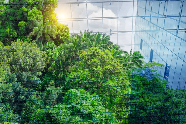 istock Go Green – Sustainable Resources – Green Building 2164784851