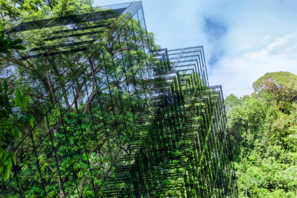 istock Go Green – Sustainable Resources – Green Building 2164784854