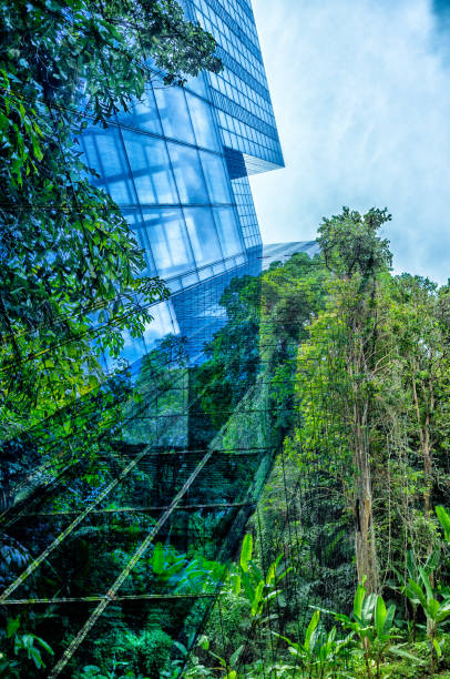 istock Go Green – Sustainable Resources – Green Building 2164784857