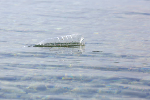 istock A plastic bottle in the ocean. Plastic pollution concept. Single-use plastic is a human addiction that is destroying our planet and impacts our waters, sea life and humans. 2164785464
