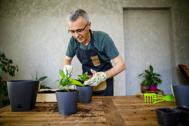 istock Man planting at home 2164787480