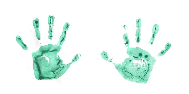istock Watercolor, Acrylic Green kids Handprints Isolated on White Background. Isolated Children, Adult Palm Print. 2164789645