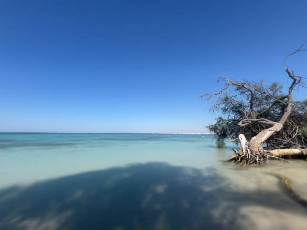 istock Sea panorama, Salento Puglia. 2164789732