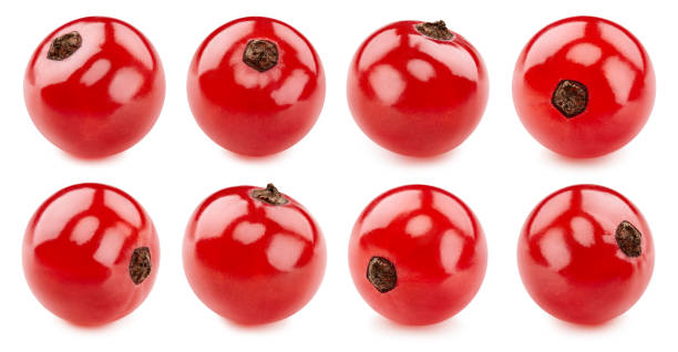 istock Cranberry collection isolated on white 2164797130