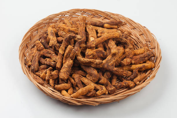Tea made by steaming, drying, and roasting dried snails and boiling them.