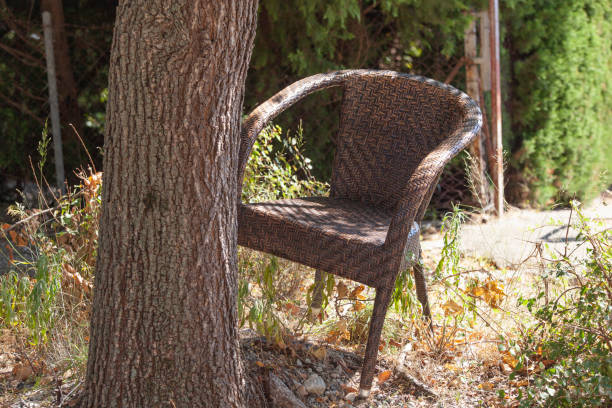 istock A wicker chair has grown into a tree. Plastic in nature. Horizontal 2164803919