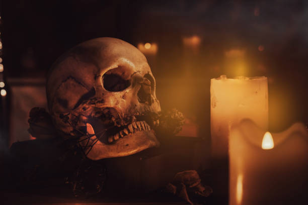 Pumpkins and skull in black and white in close up