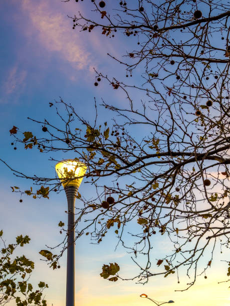 Street light at night from small seaside French town