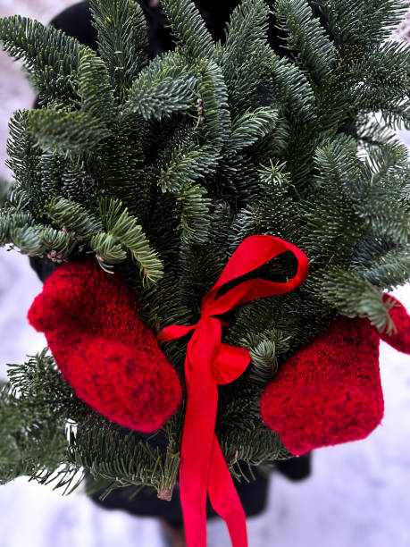 istock hands in red mittens hold fir branches 2164814823