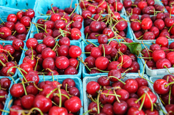 istock Red, Ripe, Juicy Cherries 2164816685