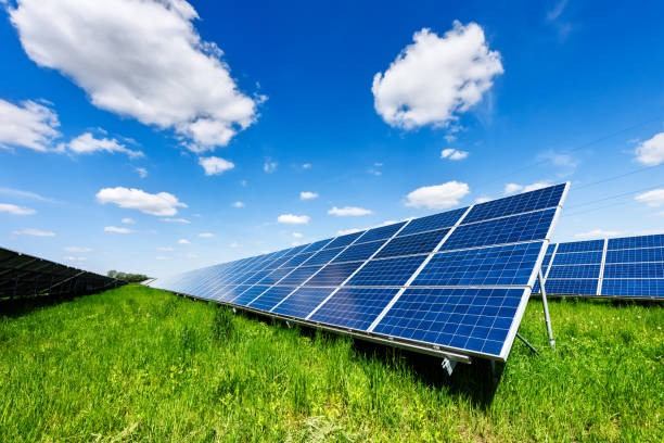istock Solar panels on green meadow in sunny day 2164818746