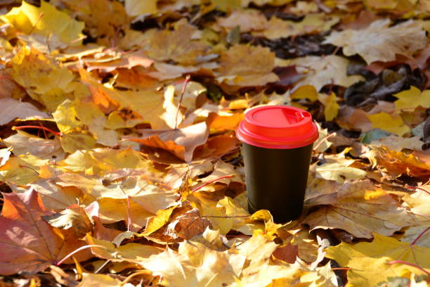 a black cup with a red lid on the ground with autumn leaves