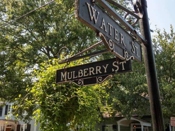istock I Saw It On Mulberry Street 2164822766