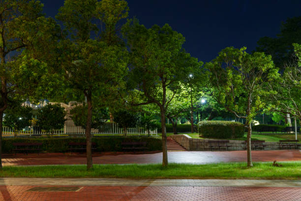 Nobody town street late at night
