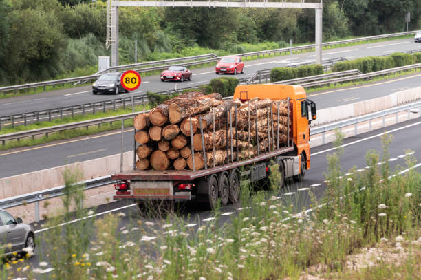A truck transporting large wooden logs on a highway