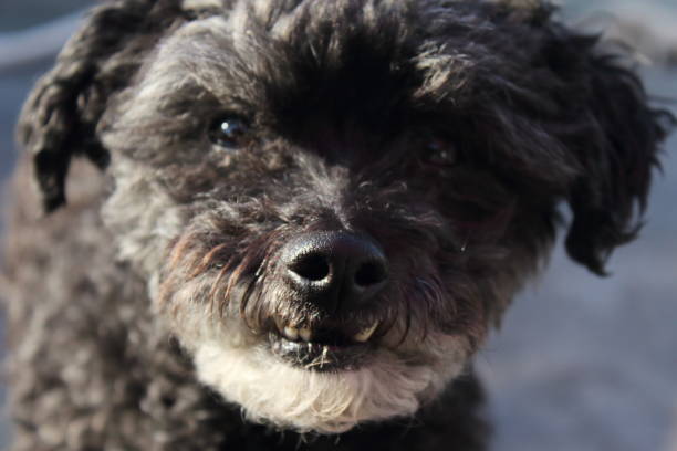 istock You have food? 2164828084