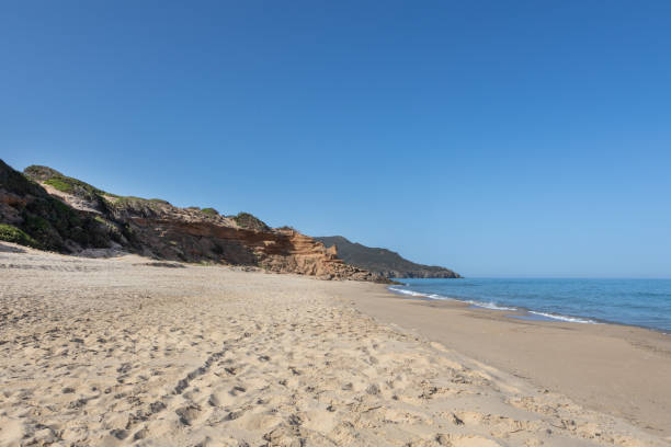 istock Serene Coastal Landscape with Sandy Beach and Cliffs 2164828224