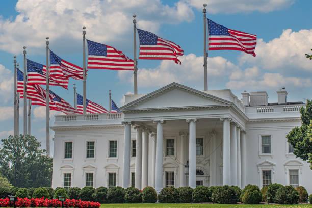 istock democrat presidential election 2164830213