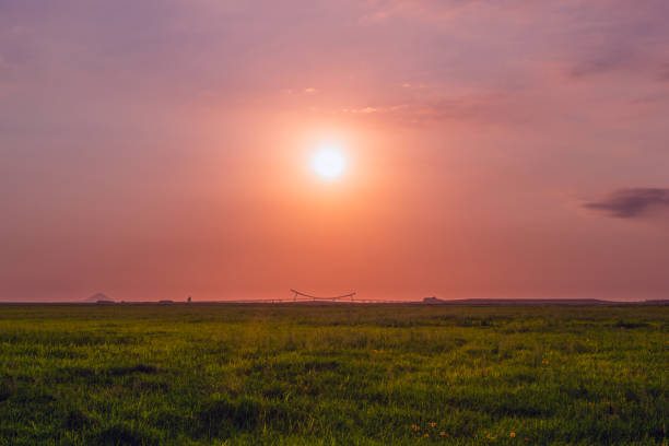 Sunset in Saemangeum Field, South Korea