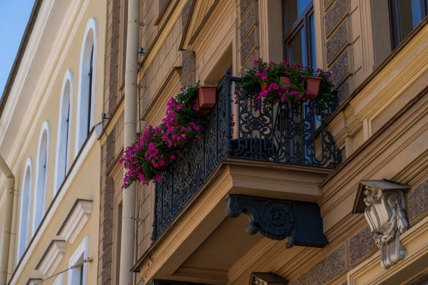 Side view of beautiful balcony with magenta coloured petunia flowers on wall of brown residential building. Soft focus. Architecture and city decoration theme.