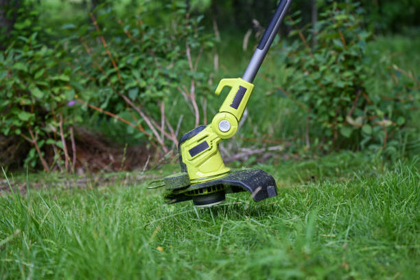 istock process of cutting grass with a professional grass trimmer 2164834883