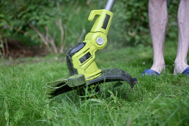 istock process of cutting grass with a professional grass trimmer 2164834970