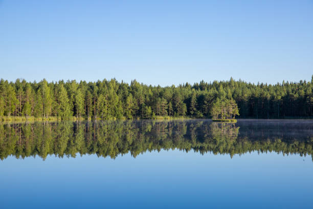 istock beautiful lake view with blue sky and green trees 2164836102