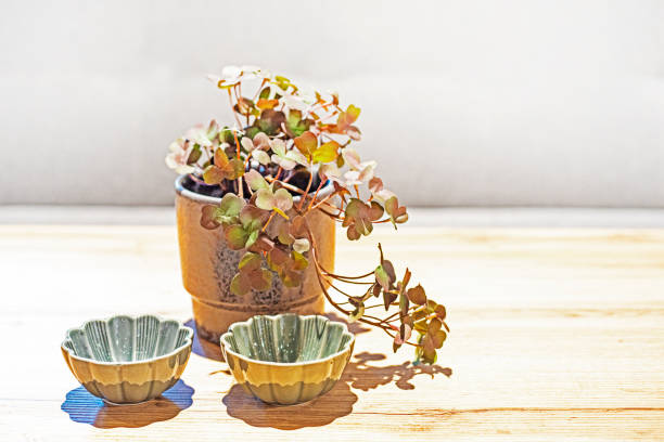 vase with decorative flowers on a round table in the interior. Modern interior