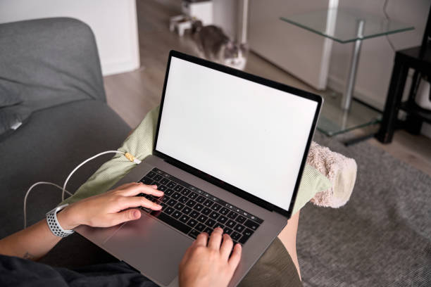 istock young woman sitting on the sofa using laptop, cat passing by in the background. 2164846405