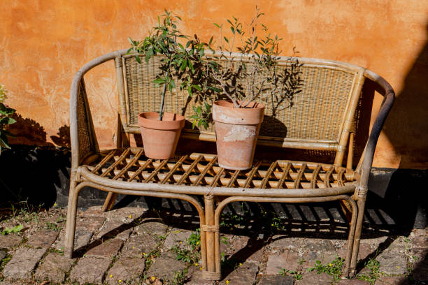 istock Flowers stand on a wicker bench on the street. 2164850281