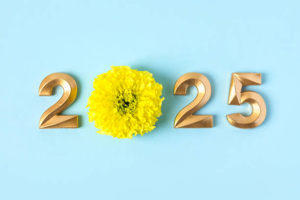 istock 2025 numbers and marigold flowers 2164851510