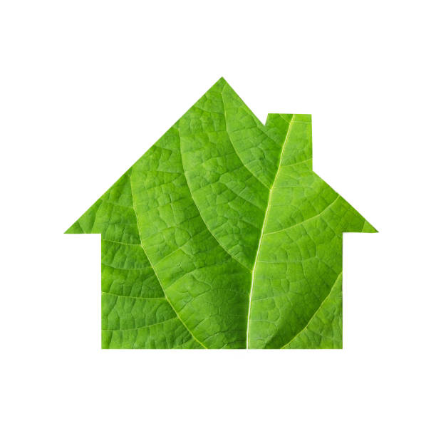 Mockup of the house is made of green leaf isolated on white background. Ecology concept. World Nature Conservation Day