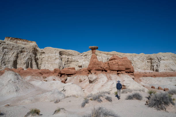 istock Toadstool rock - Grand Staircase Escalante National Monument Utah 2164852858