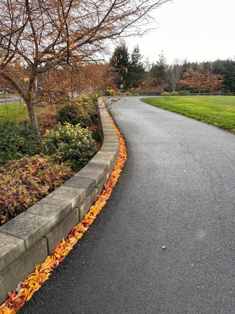 istock autumn walking path with fallen orange leaves and green field 2164852863