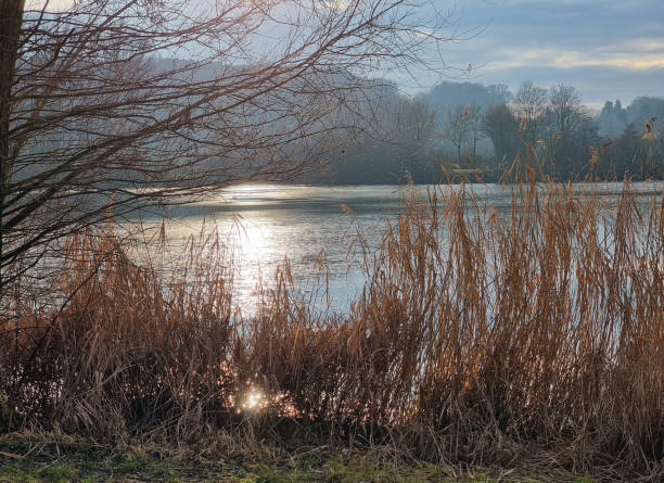 Beautiful idylic scene - sunset over the lake. Clouds lit by the setting sun are mirrored on the water surface. Around the lake trees grow.