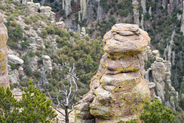 Hoo doo rock formations at Chiricahua National Monument Arizona