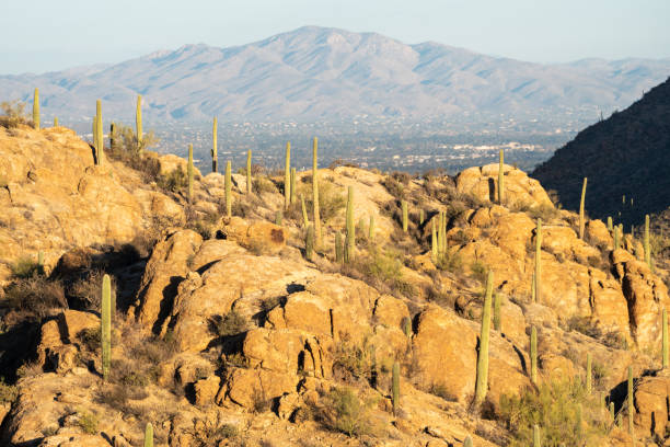 istock Gates Pass - Tucson Arizona at dusk 2164855575