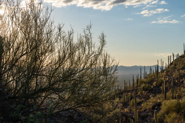 Gates Pass in Tucson Arizona at dusk sunset