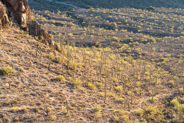 Gates Pass in Tucson Arizona at dusk sunset