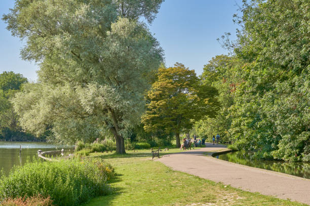 istock Verulam Park in summer sunshine 2164855844