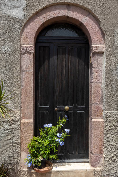 istock Rustic Arched Doorway with Blue Flowers 2164860443