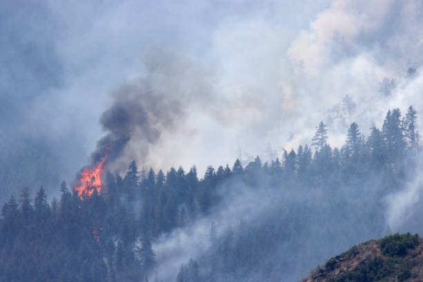 istock Intense heat radiates over exploding Quarry Fire in Deer Creek Colorado 2164864371