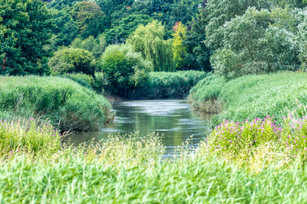 istock The River Stour at Sandwich in Kent, England 2164866992