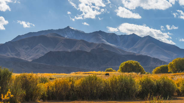 istock Pamir Plateau scenery in Xinjiang, China 2164870792