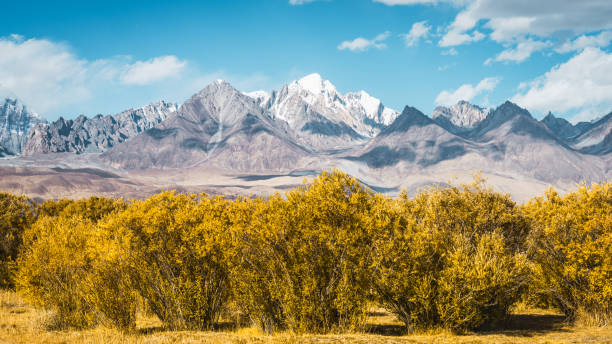 istock Pamir Plateau scenery in Xinjiang, China 2164870824