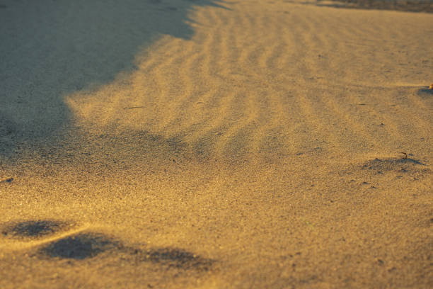 The beach with clean yellow fine sand. The golden color of the sand during sunset
