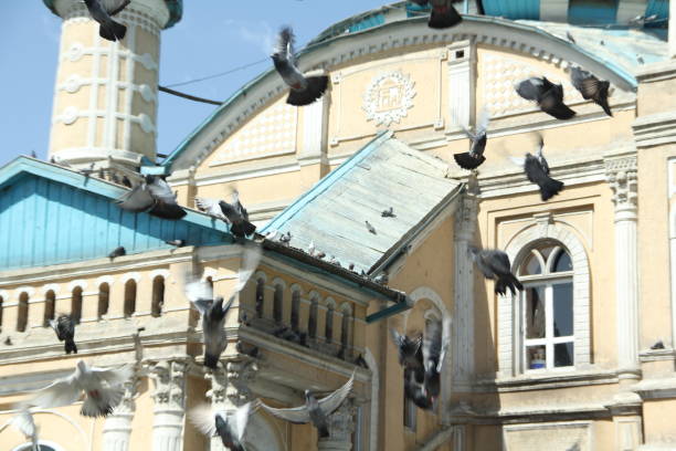 KABUL, AFGHANISTAN - 22 ‎June ‎2018: shah do shamsheera mosque which is also known as the king with two swords, located near Kabul river, the mosque was built in 1920s. the pigeons are always there to attract people, KABUL, AFGHANISTAN - 22 ‎June ‎2018