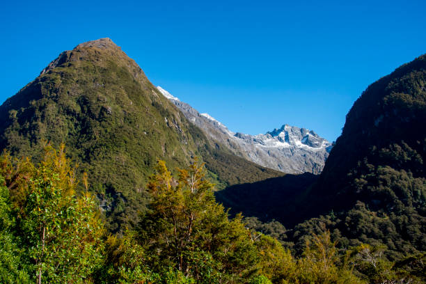 istock Mount Christina in Southern Alps 2164881822