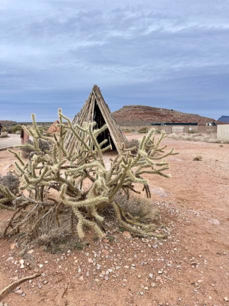 istock Tranquil Hut with Cactus at Grand Canyon Indian Reservation 2164882448
